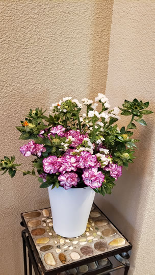 White Statice Orange Safflower Purple Carnations